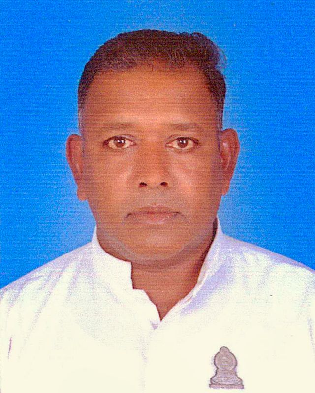 Wanadura