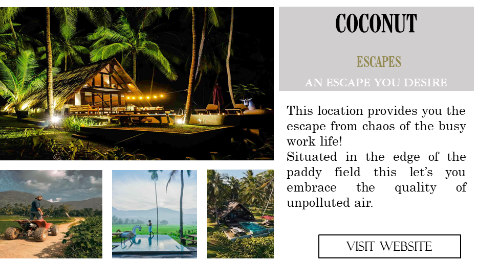 coconut