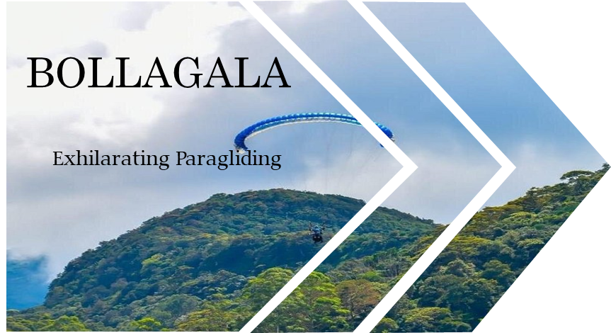 bollegala