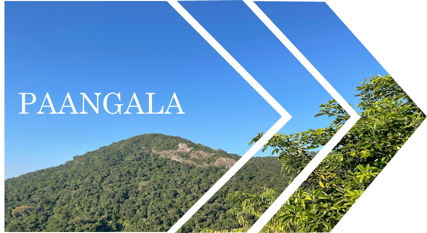 Paangala